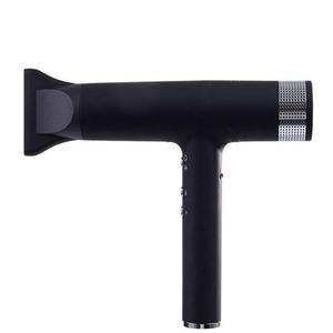 미니홈 끌림 익스트림 파워 BLDC 헤어 드라이어 TAD-300 2000W, 블랙