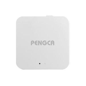 펭카 스마트 센서 IoT 허브 1개