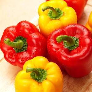 2025 햇 파프리카 아삭한 달콤한 못난이 파프리카 2kg