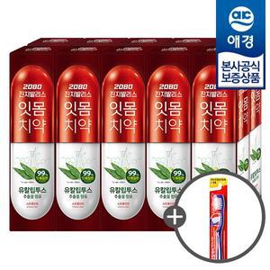 [애경][비밀특가]  유칼립투스 진지발리스 치약 150g x10개 (+칫솔1입 증정)