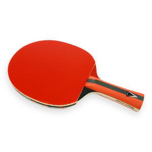 엑시옴 탁구채 탁구라켓 라켓 쉐이크라켓 V 2.0 S