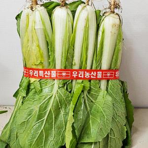 국내산 얼갈이 배추 1단 800g내외 4단 총 3.2kg
