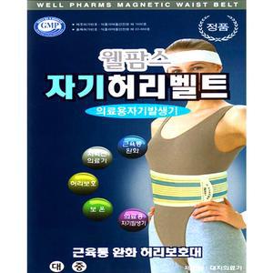 웰팜스 자기벨트 허리보호대 복대 의료기기 디스크
