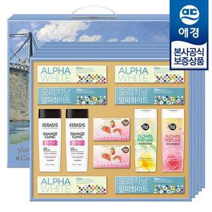 선물세트] 아트라이프 D호 x5개 (1BOX)
