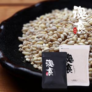 [혼식]국산 늘보리쌀 1kg / 2024년산