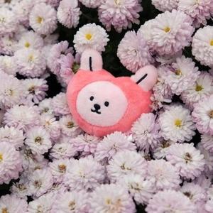 [기타]마이 버디 인형 하트 송이 미니키링 인형키링 털 가방 (WFGJFL7)