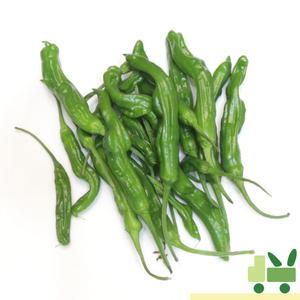 꽈리고추 1Kg (상)