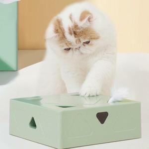 FOFOS 고양이 장난감 매직 박스 교체 머리 깃털 대 한 내구성 인터랙티브 운동 6개