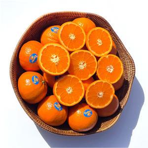 만다린 귤 수입 고당도 감귤 썬키스트 큐티스 필즈 4kg