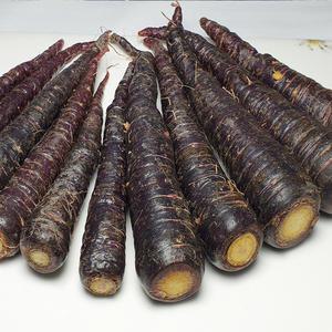 해남 자색당근 2kg(크기혼합) 손질 세척해서 편리한 보라색당근
