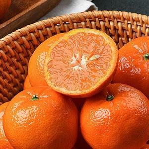 신선한 고당도 만다린귤 1kg (개당70g-90g)