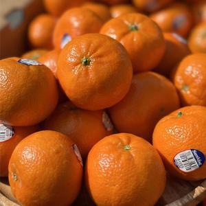 고당도 미국산 만다린 귤 로얄과 2.5kg (35과내외) 외