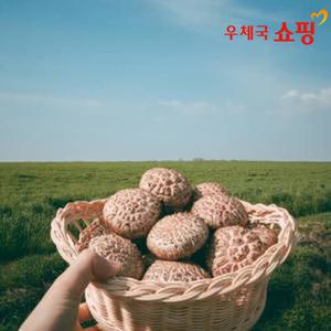 [우체국쇼핑][하진이네] 무농약 생표고버섯 1kg/2kg 건표고버섯 GAP인증