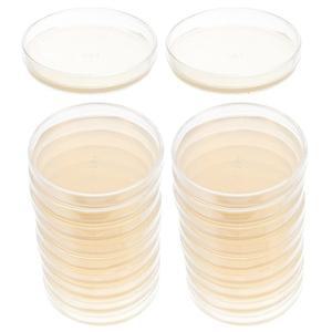 20 Pcs 영양소 한천 플레이트 Prepoured Petri Dish Experiment Plates 커버 조직 배양을 과학 요리
