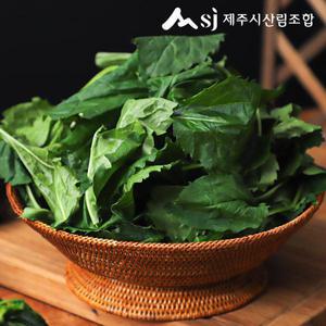 [제주시산림조합]25년 햇 제주 부지깽이나물 200g * 8팩/1.6kg