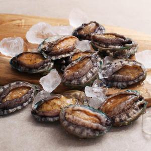 완도 활 전복 1kg 18-20미 + 초장 100g / 산소팩포장