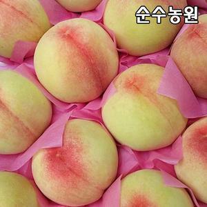 복숭아나무 묘목, 황도(엘바트) 접목1년 뿌리묘 3개/조생종/유실수/과실수