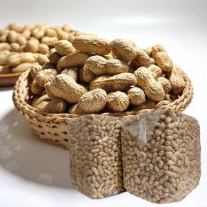 볶음 피땅콩 10kg /대용량 업소용 견과 볶음 견과류 정월대보름 부럼