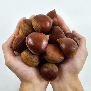 국내산 공주햇밤 특대과 3kg 120과 내외