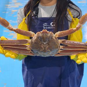 생생수산 특A급 선물용 품질 러시아대게 자숙 선어 2~5KG