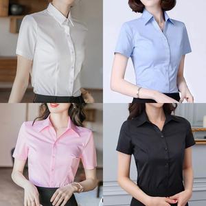 로로비 3SET 슬림핏 여성 반팔 셔츠 캐주얼 여름 정장 카라 블라우스 화이트 블랙 블루 핑크