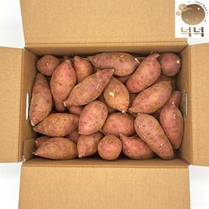 [롯데백화점]넉넉 24년 해남 베니하루카 꿀고구마 10kg 한입(개당 50g이하)