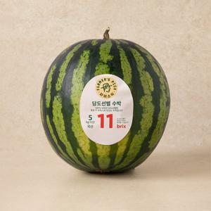 당도선별 수박 4~5kg미만
