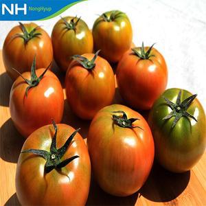 [창녕농협] 국내산 찰토마토 5kg(2S)