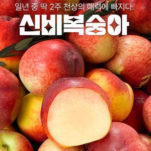 12브릭스 고당도 신비복숭아 2kg