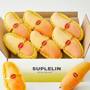 [수플린] 쫀득달콤 마하차녹 무지개 망고 1.9kg (5~7입)