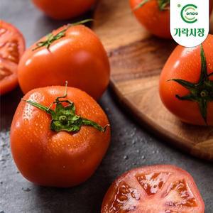 [온도씨][새벽시장]가락시장 완숙토마토 1box(5kg)
