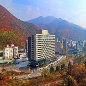 [강원특별자치도] 정선 인투라온호텔(강원특별자치도, 정선)