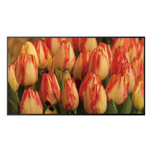 삼성전자 UHD 4K TV 189cm AI 퀸텀 프로세서 KQ75QC75AFXKR 벽걸이형 (T) *삼성정품*