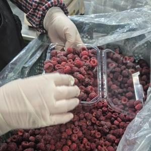 국내산 100% 산딸기 생과 250g 맛보기