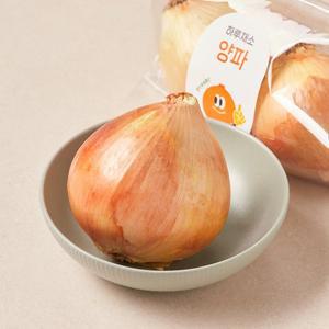 하루채소 햇 양파 240g