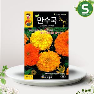 만수국씨앗 60립 만수국 꽃씨앗 꽃씨 천수국 취부용
