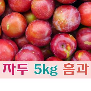 (팔공산농원) 자두 5kg 흠과