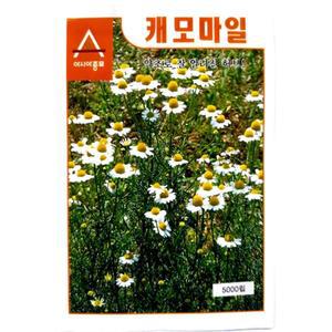 사랑스런꽃 캐모마일 씨앗 허브 종자 캐모마일 허브 씨앗 종자 종묘