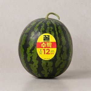 꿀처럼 달콤한 수박 6~7kg미만