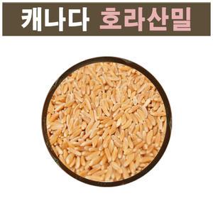 The큰나무 (3일만 이가격) 캐나다산 호라산밀 5kg(1kgx5팩) 최근 통관 햇 호라산밀 착한 탄수화물