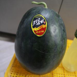 싱싱하고 맛있는 흑수박 6~7kg