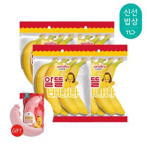 [품질보장] 스미후루 알뜰 바나나 900g 4개 + 클라크 바나나 케이스