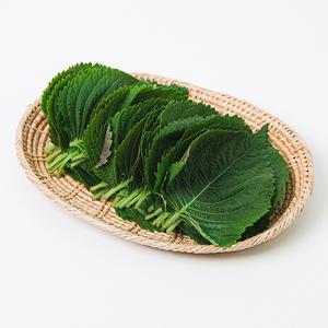 [혜택가6,630원경남 밀양 찹찹이 깻잎 500g(200-250매)