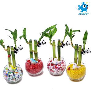 개운죽 키우기 유리 원형볼 6cm A형 DIY키트 + 매달린 팬더 피규어