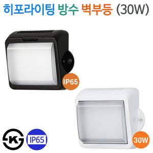 DSE 히포 LED 방수 벽부등 30W (주차장진입등,보안용)