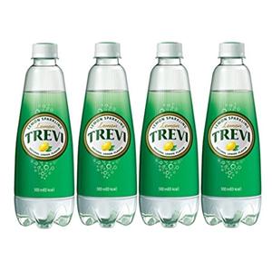 [롯데칠성음료]롯데칠성 트레비레몬 500ml 40펫