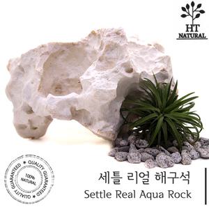 세틀 리얼 해구석 / 수족관 어항 수조 조경석 장식품 돌 꾸미기 세팅 초보 수초 구피 시클리드 해수어 니모