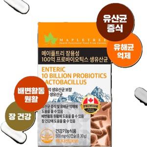캐나다산 변비 설사 복부 팽만감엔 메이플트리 장용성 100억프로바이오틱스 생유산균 2개월분