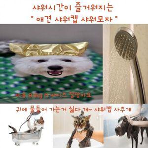 [프렌즈]고양이 인기 (사러왕)강아지 목욕 방수 귀마개 애견 애견용품 애견샤워 애견모자 목욕용품 고양이