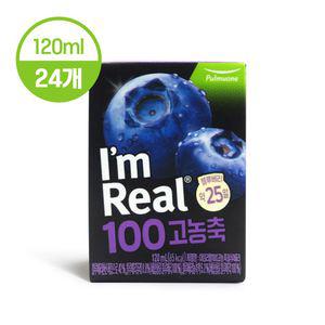 아임리얼 100 고농축 블루베리 120ml 24팩